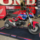 Illustration for article titled If The 2022 Honda Grom Doesn't Make You Happy Maybe You Can't Be Happy